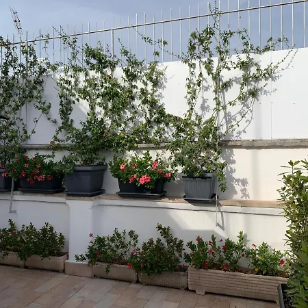 Tristar Terrace Penthouse Lägenhet